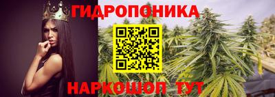 сатива Жуковский